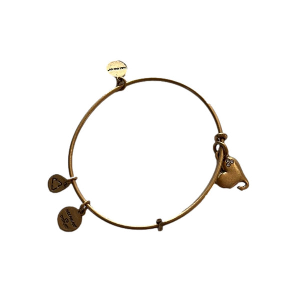 𝅺Alex and Ani Crystal Cupid's Heart Charm Bangle Bracelet in Gold-Tone Brass - Picture 1 of 3